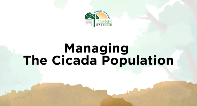 Managing the Cicada Population